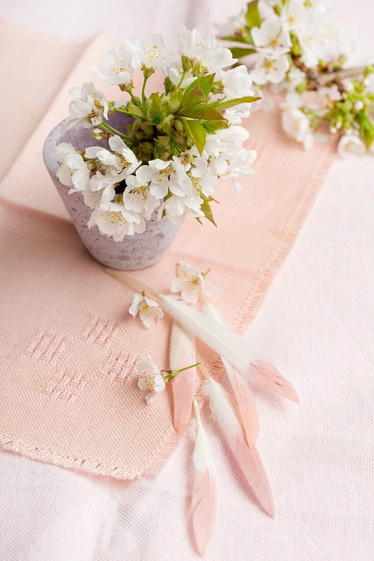 Blühende Kirschbaumzweige in Vase auf rosa Decke und Federn