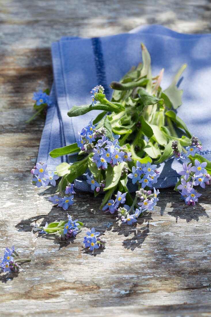 Forget-me-nots on blue cloth on weathered wooden surface outside