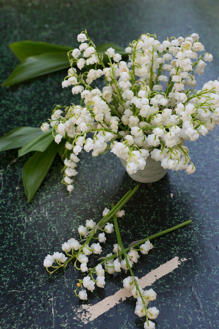 Lily of the valley in a vase