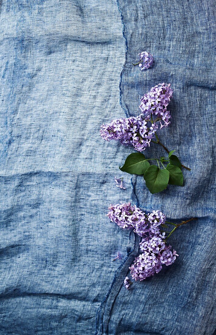 Sprigs of lilac on a blue linen cloth