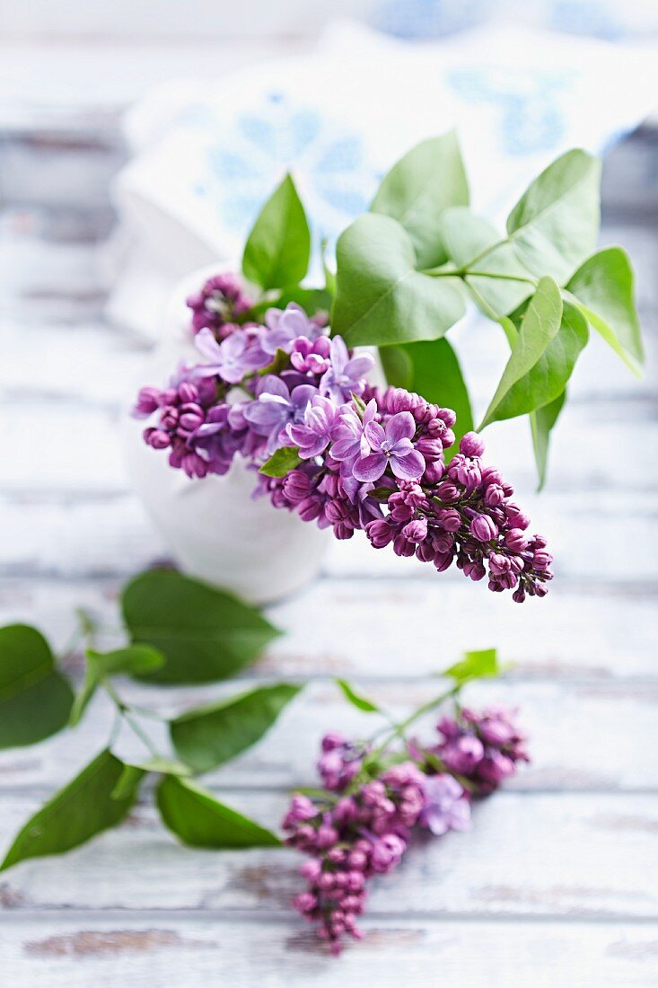 Sprig of lilac in a vase