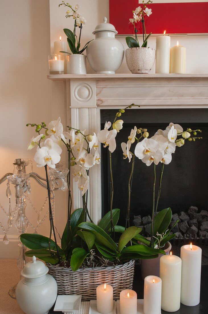 weiße Stumpenkerzen und weiße Orchideen vor dem Kamin und auf Kaminsims
