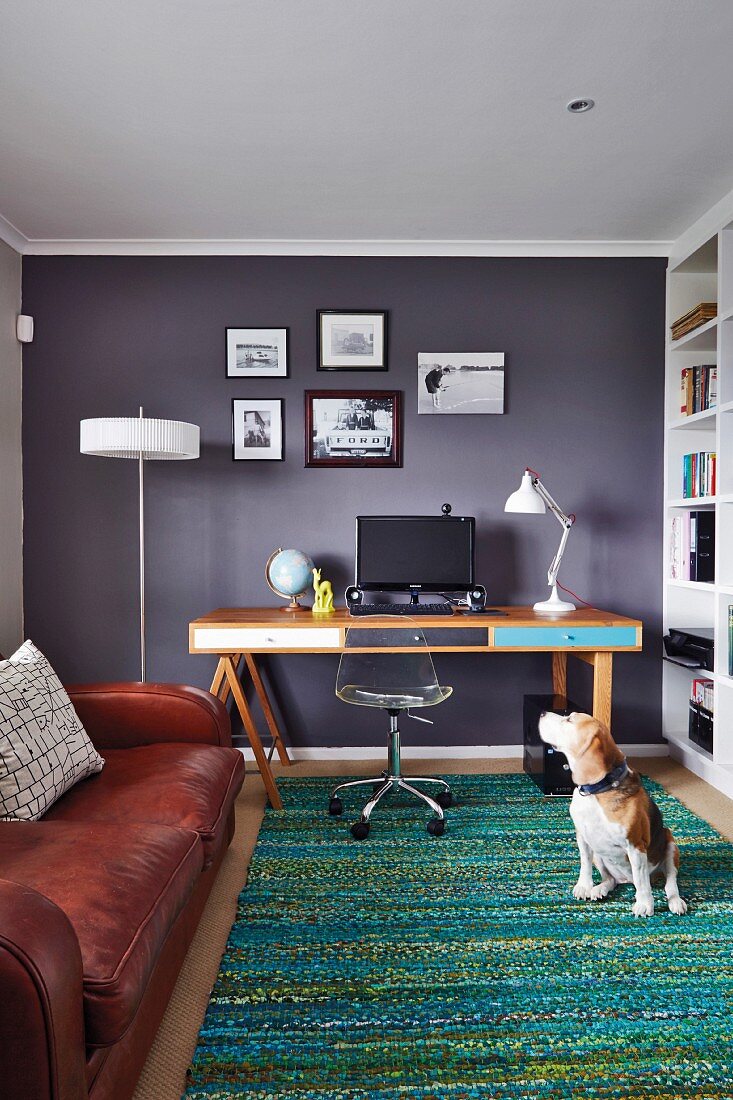 Schreibtisch mit bunten Schubladenfronten und Drehstuhl mit transparenter Sitzschale im Arbeitszimmer mit grau getönter Wand, Hund auf Teppich vor Ledercouch