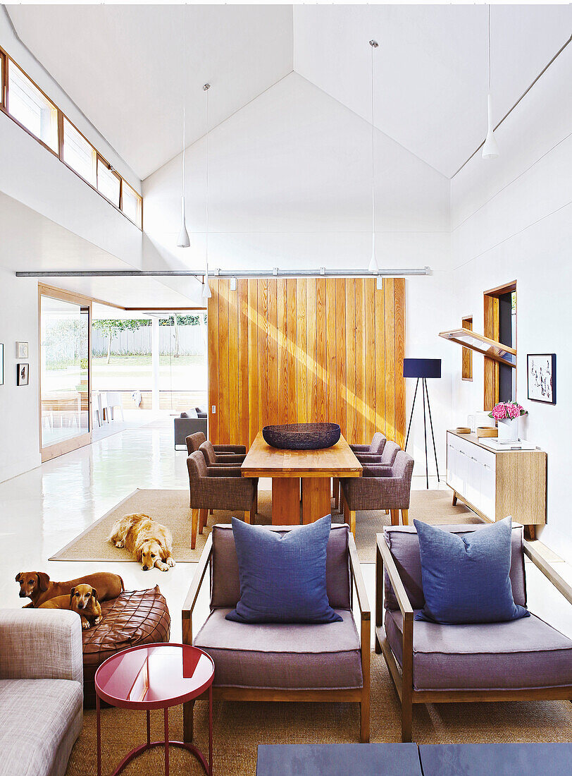 Living room with high ceilings and wooden elements, dogs on the floor