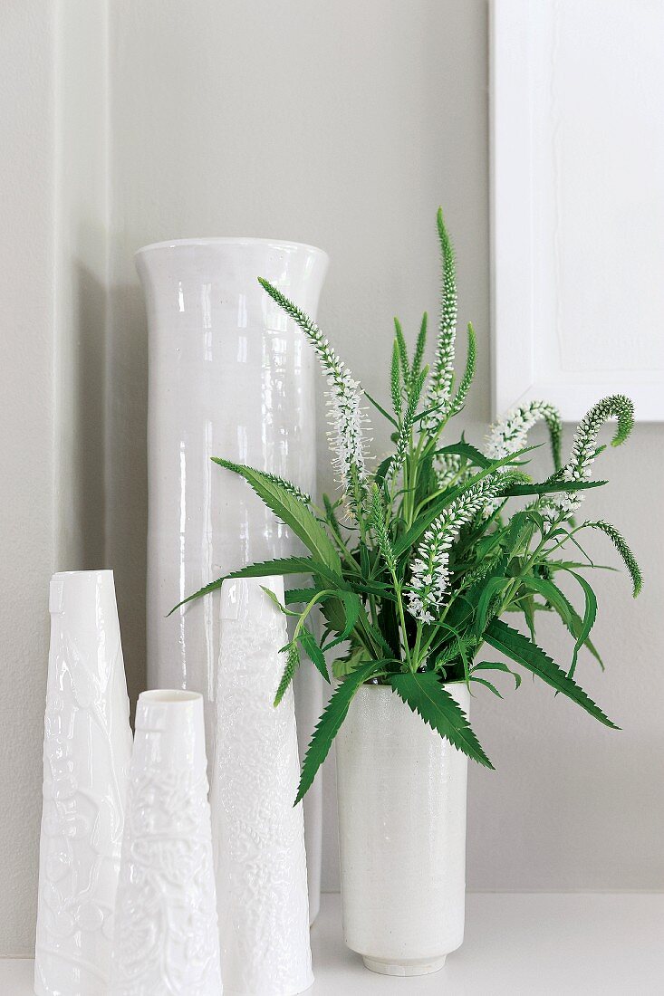 weiße Vasensammlung, in einer Vase weiße Blumen mit Blätter