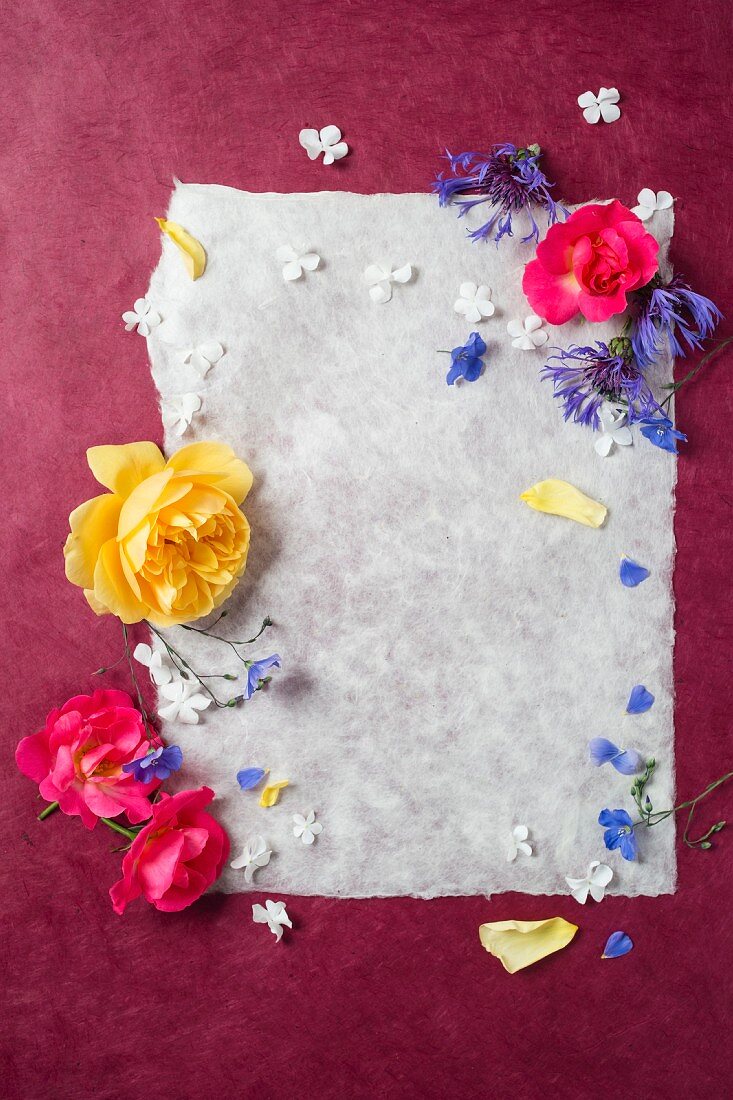 Blumenrahmen aus Rosen, Flockenblume und Hortensie um ein Papierblatt