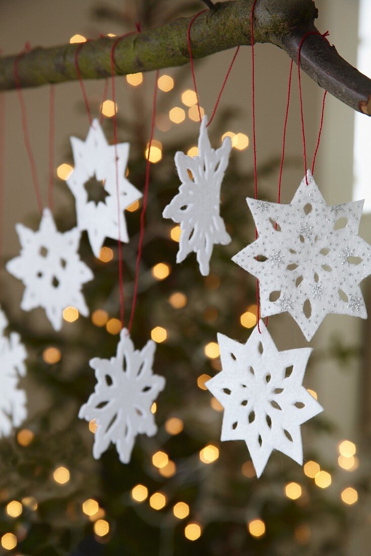 Felt snowflakes hanging from branch
