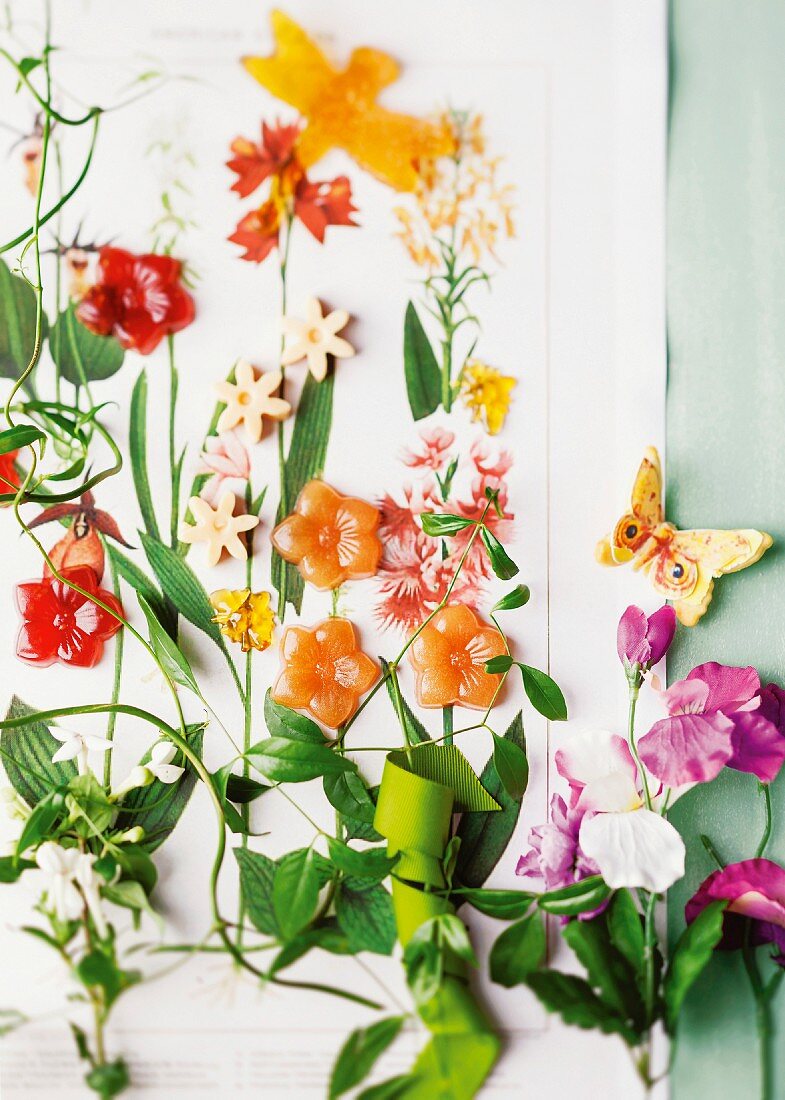 Flower-shaped sweets and botanical drawings decorating wall