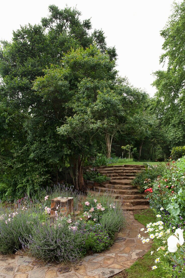 Meandering stone path in gardens