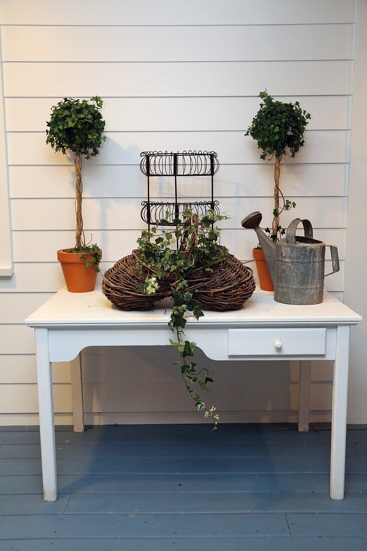 Small potted trees, watering can and basket of ivy on white table with drawer