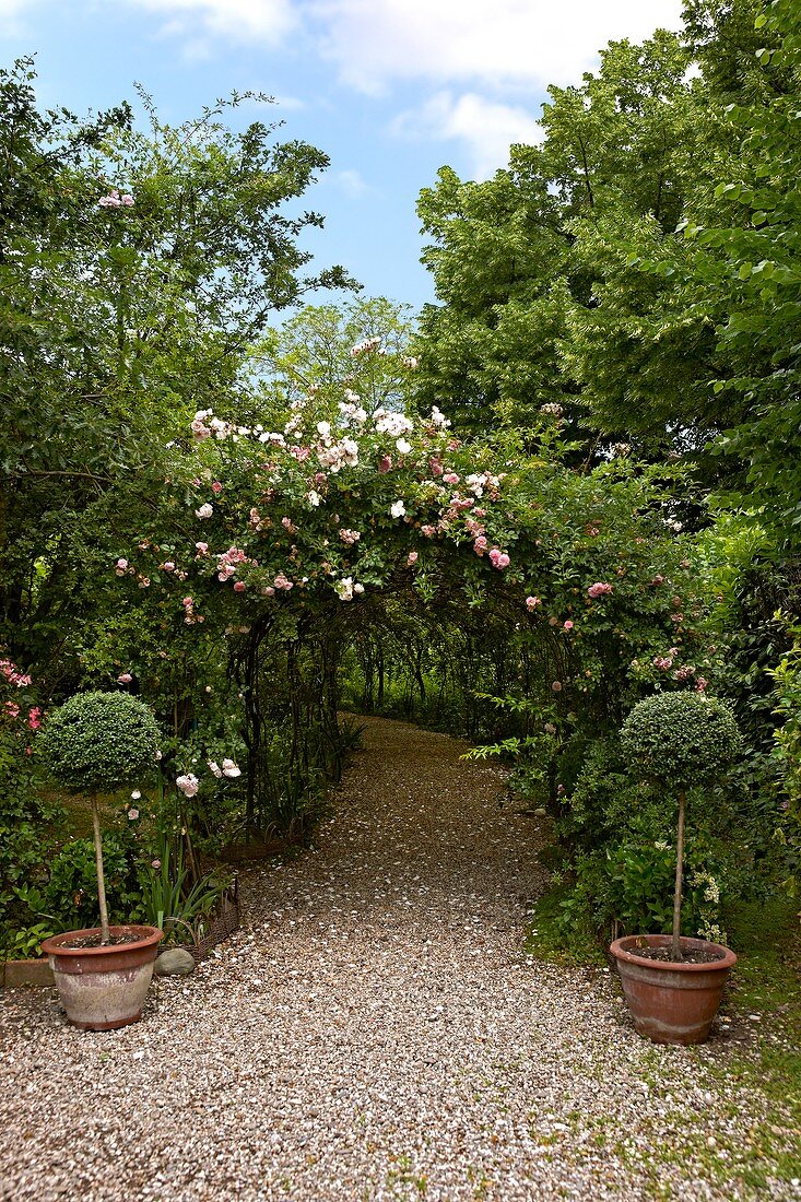 Geschwungener Kiesweg mit Rosenbogen überrankt