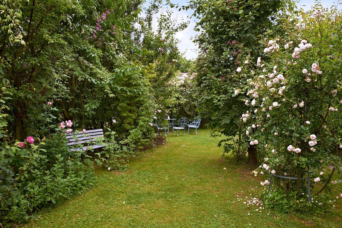 Rasenfläche in parkähnlichem Garten mit Bank und Stühlen zwischen Gehölzen und Rosenbüschen