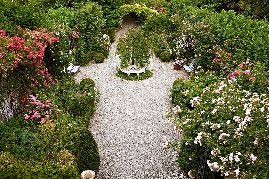 View of gravel path between magnificent roses and shrubs in park-style garden