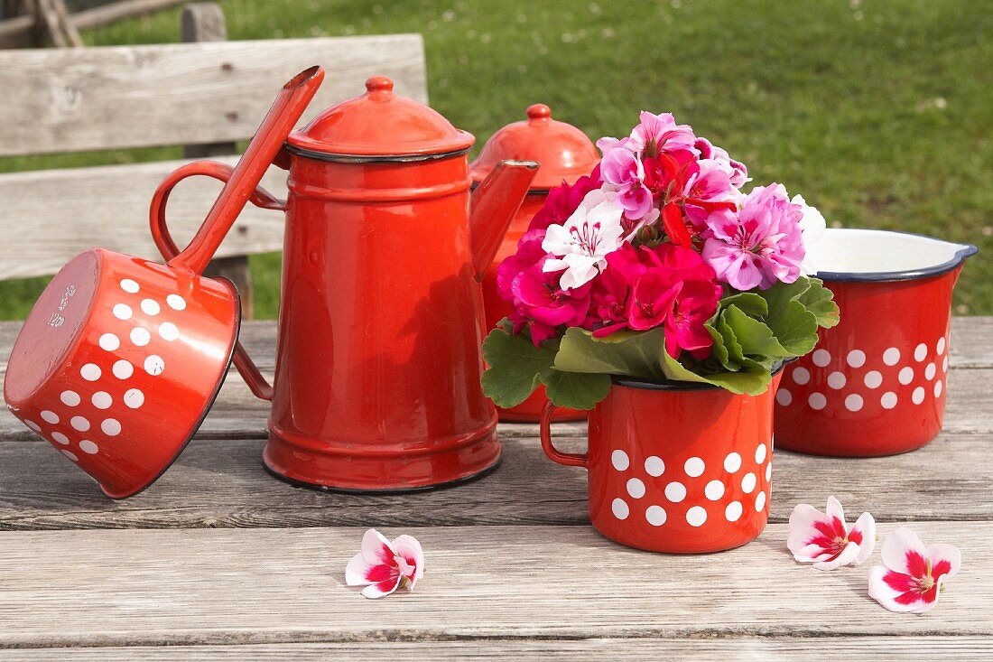 Rustic arrangement of red enamel coffee pots, red and white polka-dot milk jugs and saucepan, and posy of geraniums