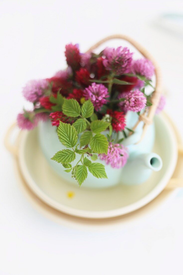 Kleine, weiße Teekanne mit Sträusschen aus roten Kleeblüten und Himbeerblättern