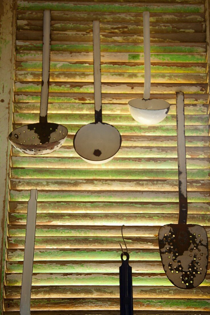 Verschiedene Schöpflöffeln an Fensterladen mit Lamellen