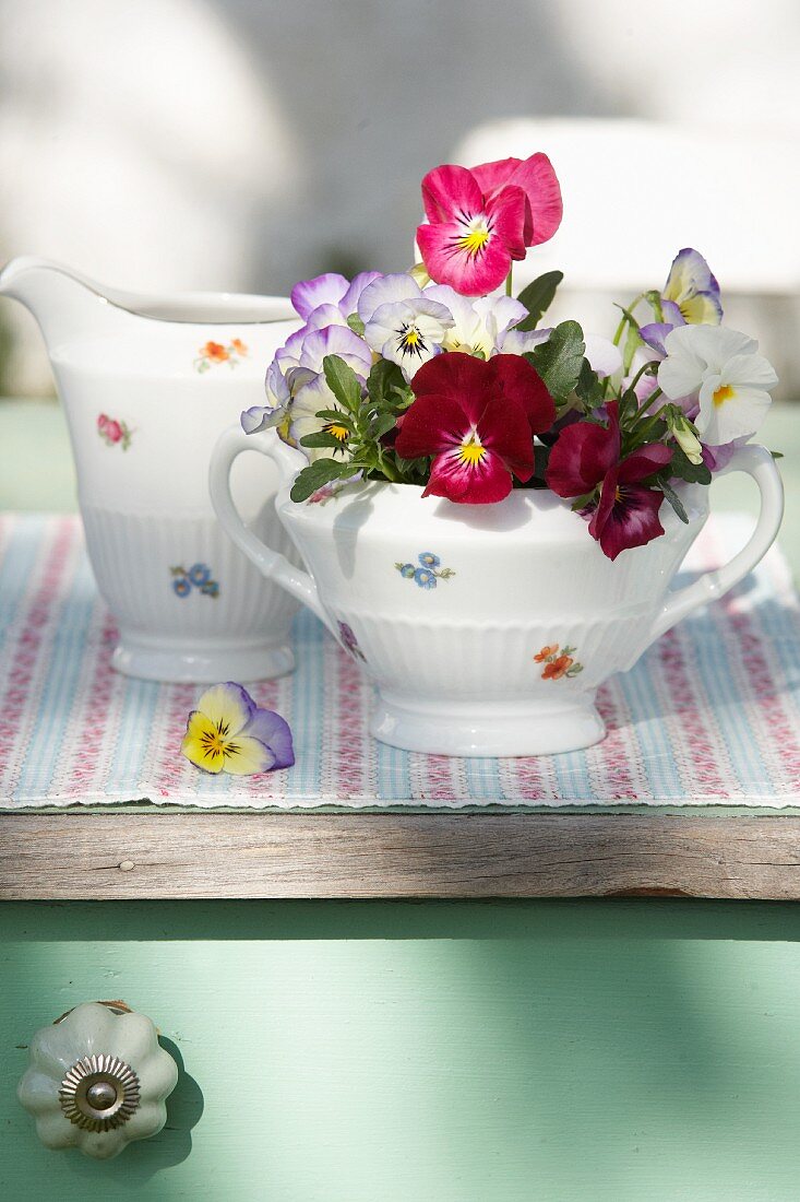 Violas in painted tureen with matching jug on surface