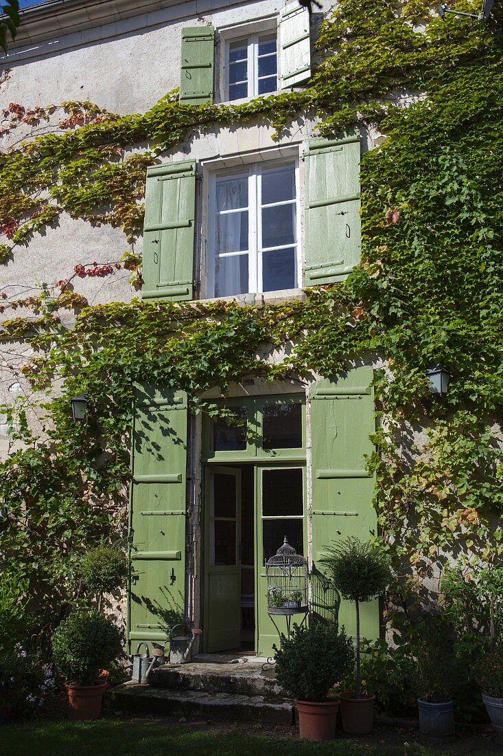 Mit wildem Wein bewachsene Fassade eines französischen Landhauses aus dem 18. Jahrhundert mit grünen Fensterläden