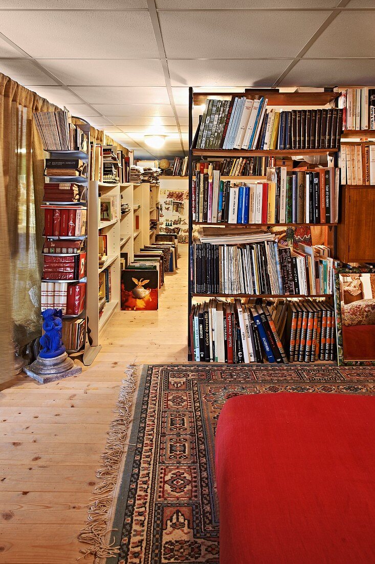 Im Vordergrund teilweise sichtbares rotes Polster, auf Orientteppich, Bücherregal als Raumteiler in langgestrecktem Raum