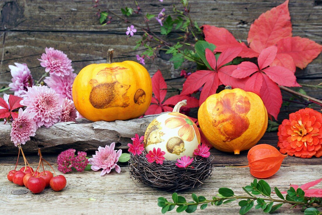 Autumnal still-life arrangement with squash, autumn flowers & leaves