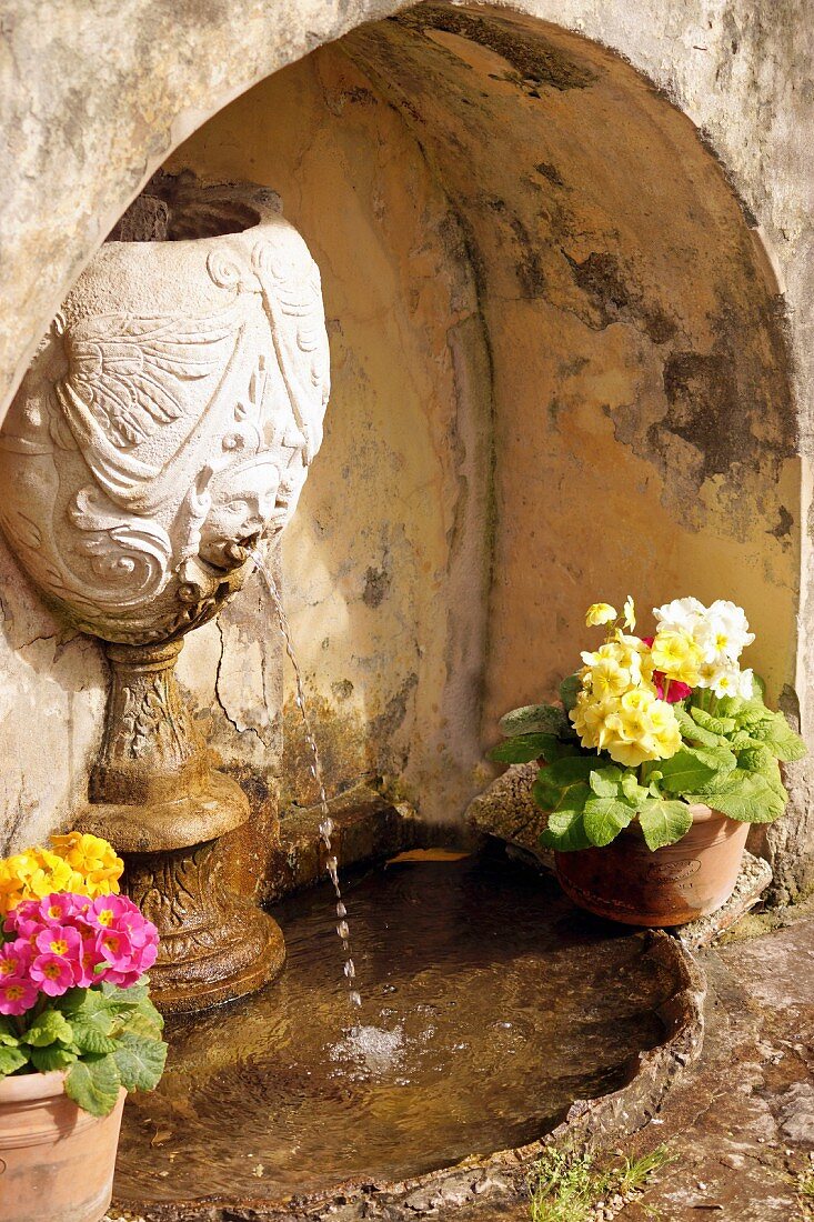 Wasserbrunnen dekoriert mit Primeln in Blumentöpfen