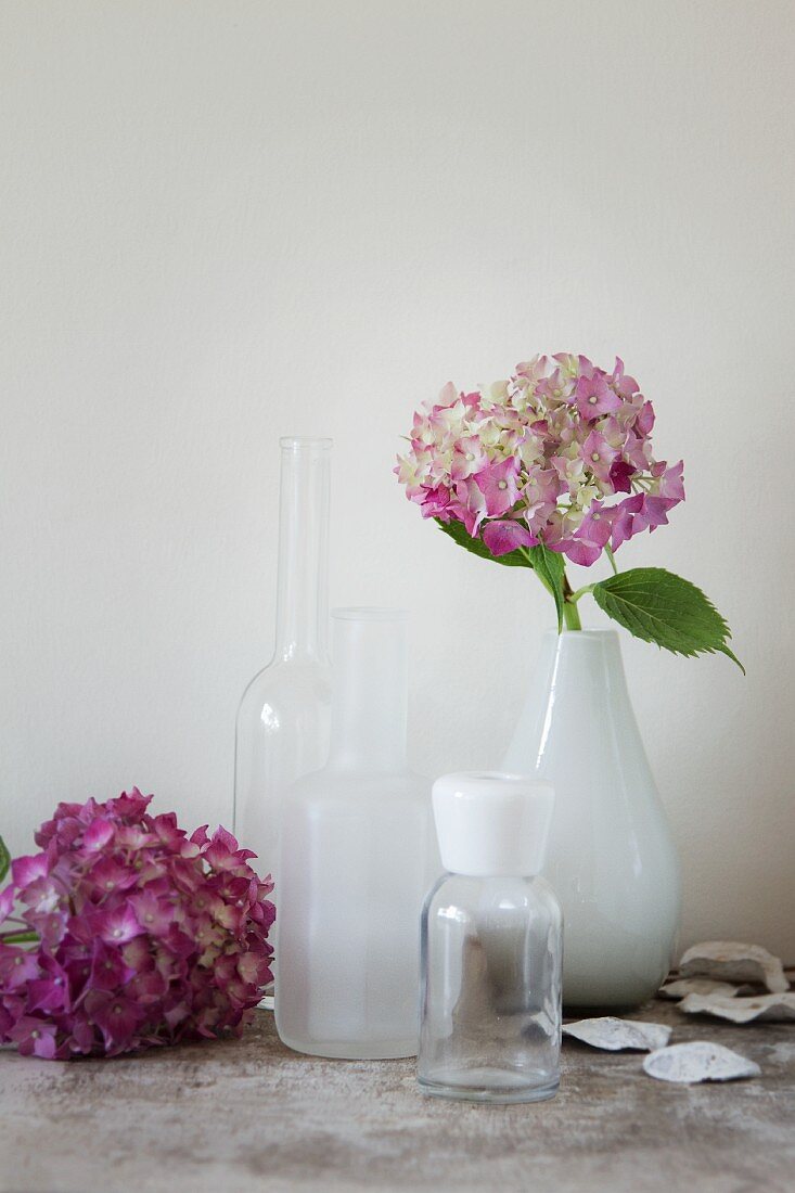 Purple hydrangea, retro bottles and china vase