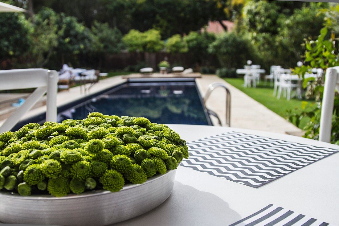 Schale mit grünen Blüten auf Tisch, im Hintergrund Outdoor Pool in sonnenbeschienenem Garten