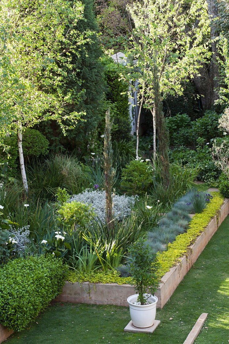 Von Natursteinplatten eingefasste Pflanzbeete und Bäume im Garten
