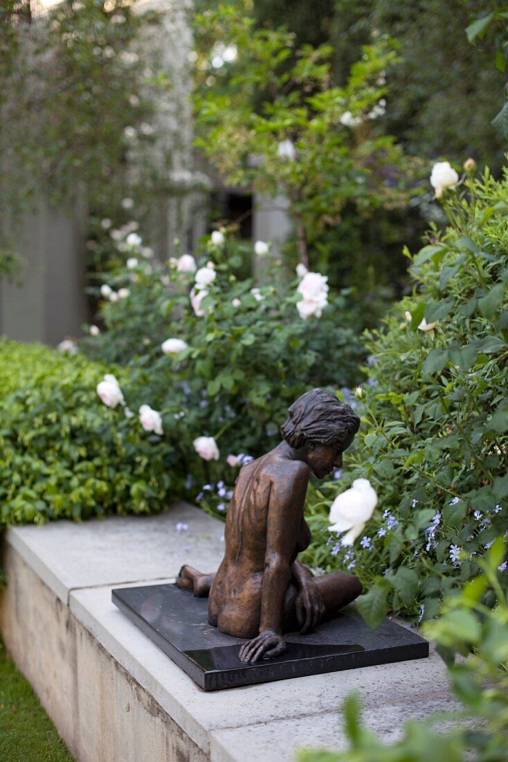 Bronze sculpture on low wall in garden; white roses in background