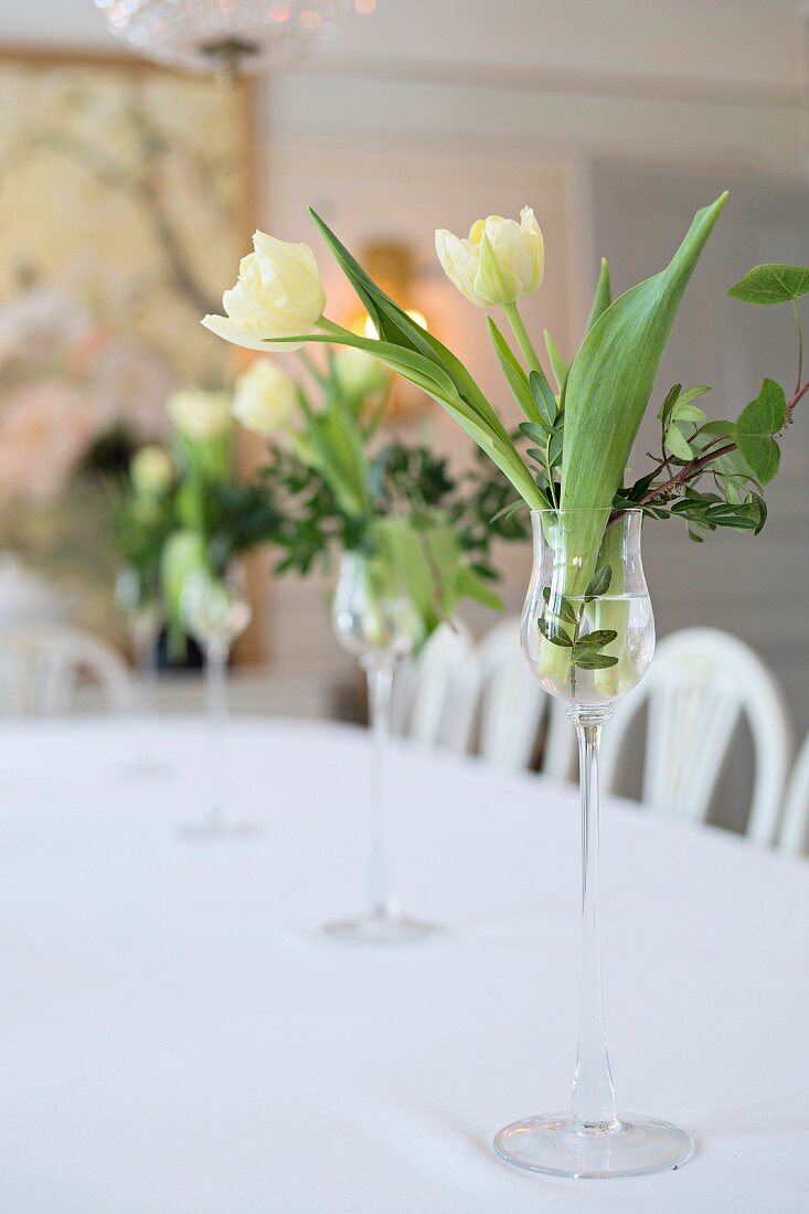 White tulips and ivy in elegant liqueur glasses decorating dining table