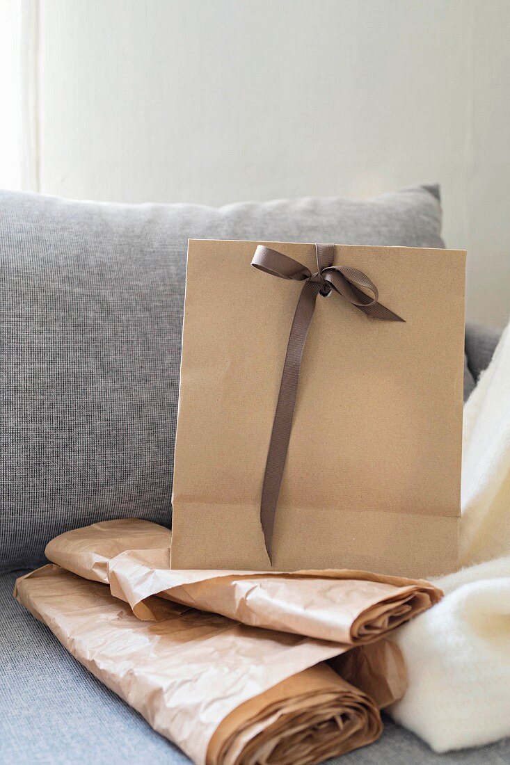 Pale brown paper bag with ribbon and paper scroll on couch