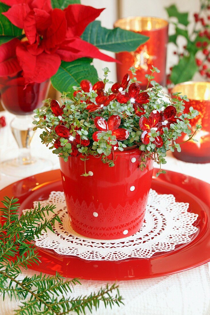 Grünpflanze mit Blüten-Lichterkette in rotem Übertopf mit Teller; Weihnachtsstern im Hintergrund