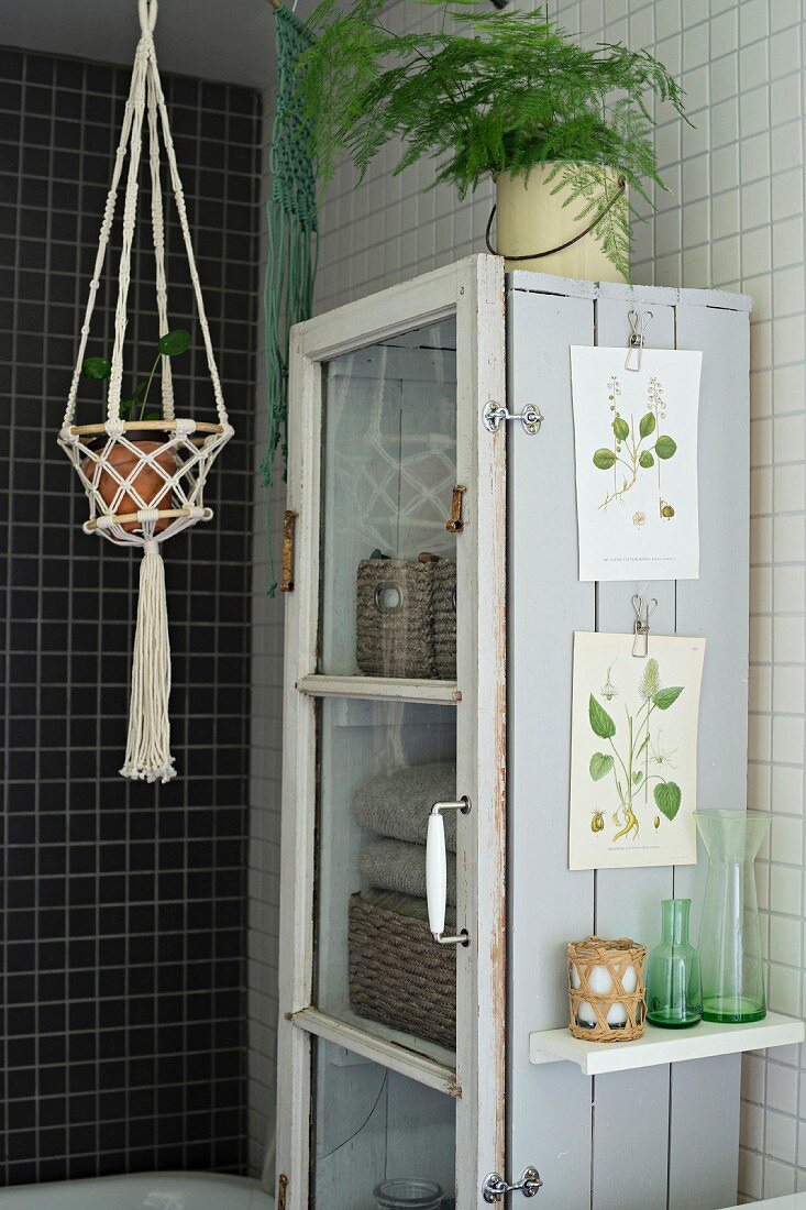Macrame plant hanger next to rustic display case with botanical illustrations attached to side