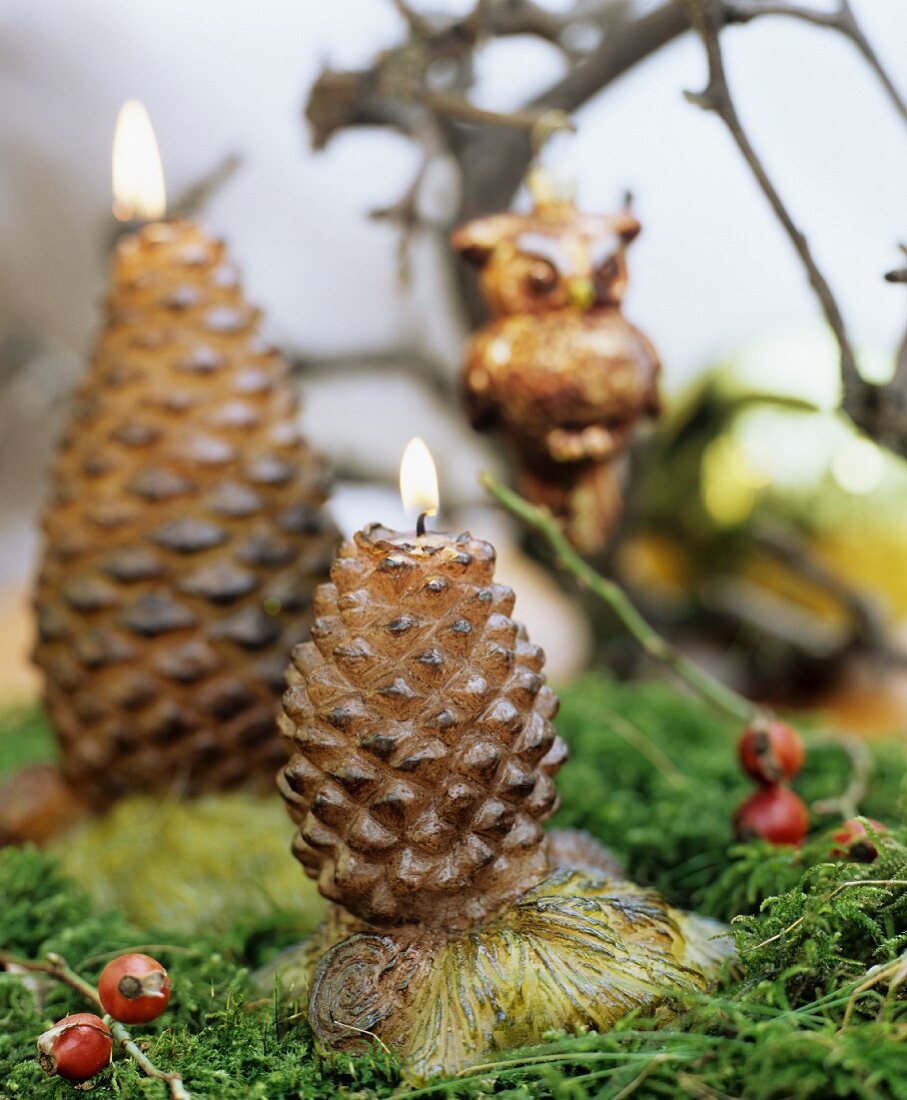 Festive arrangement of lit candles shaped like pine cones on bed of moss