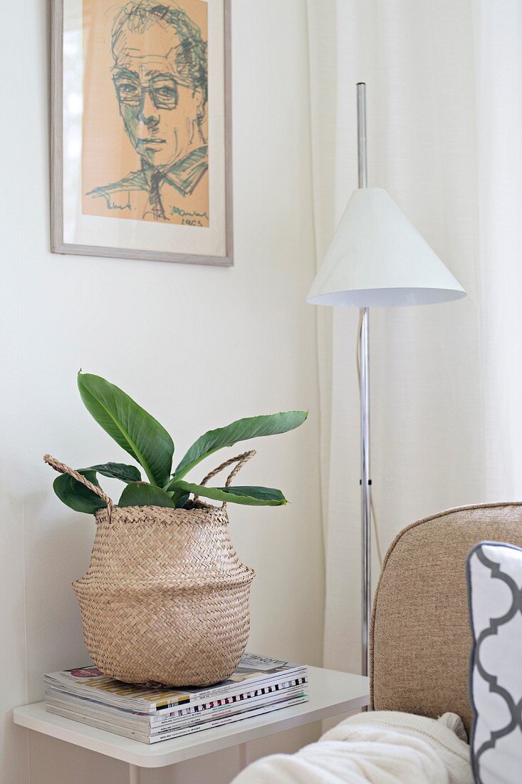 House plant in exotic raffia basket below drawing on wall