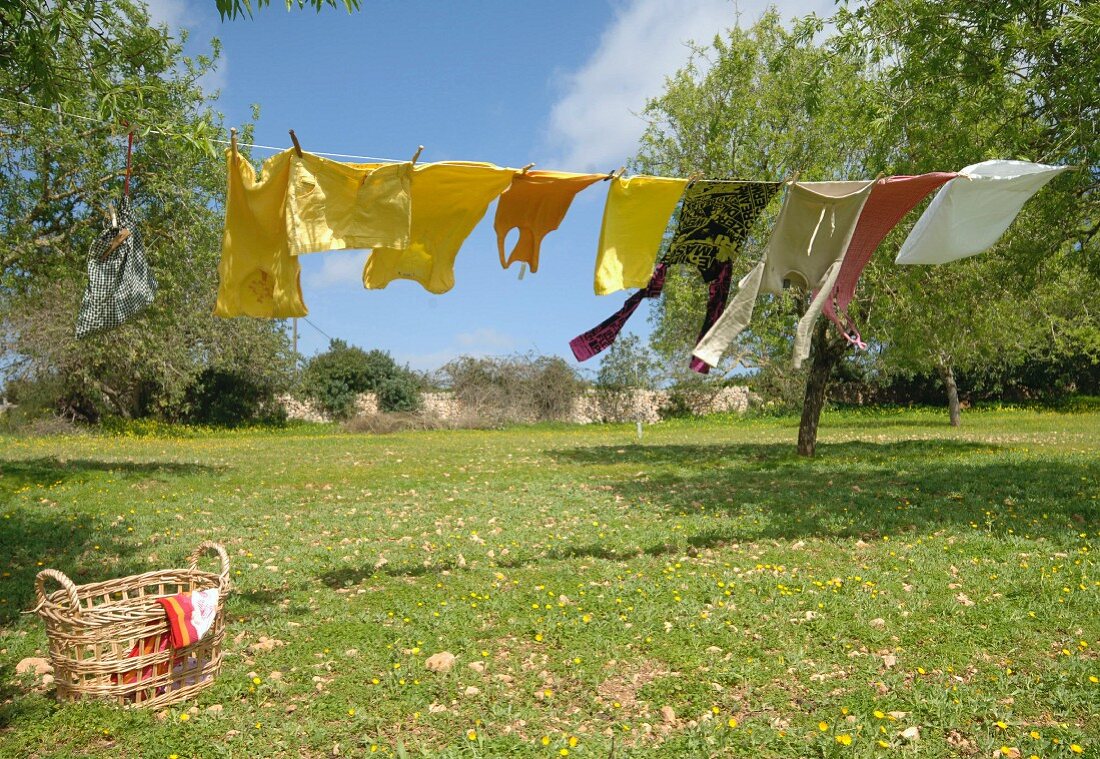 Laundry hung on washing line in sunny garden