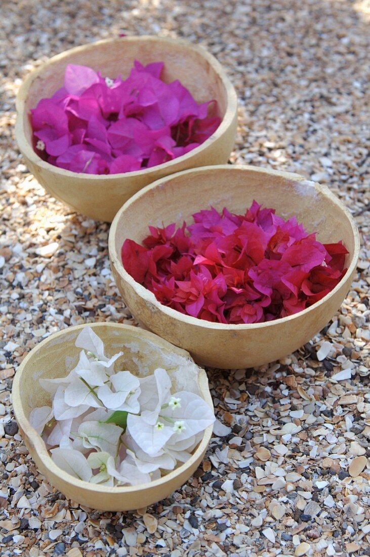Petals of various colours in bowls