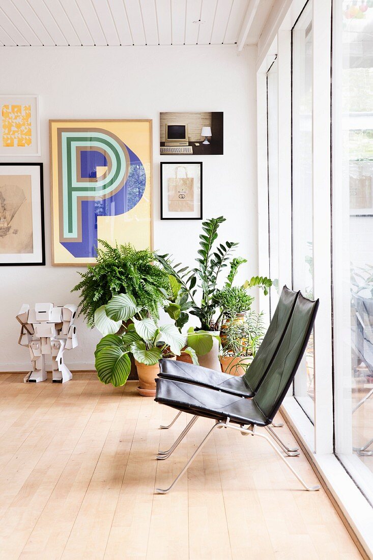 Delicate designer easy chairs in retro-style interior with house plants and gallery of pictures