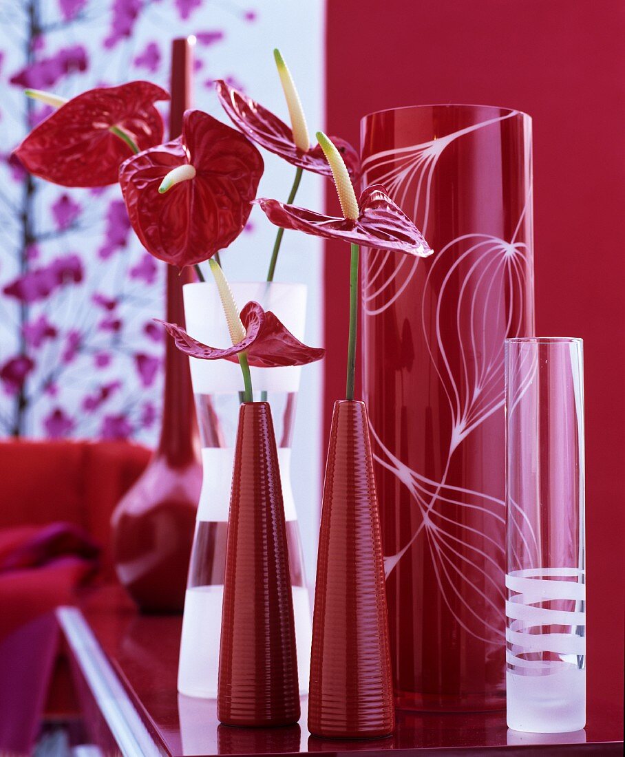 Rote Vasensammlung mit Flamingoblüten und gravierte Glasvasen vor rotem Hintergrund