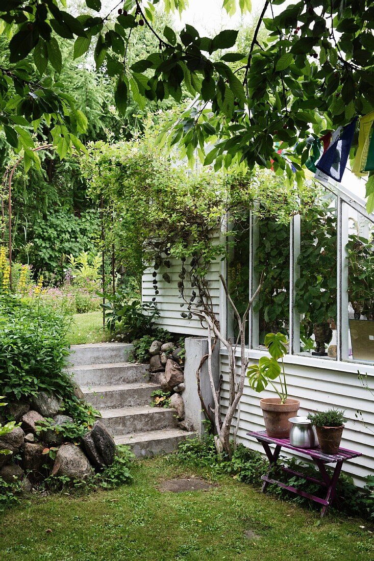 Concrete steps next to partially visible greenhouse with white-painted wooden and glass elements in summery garden