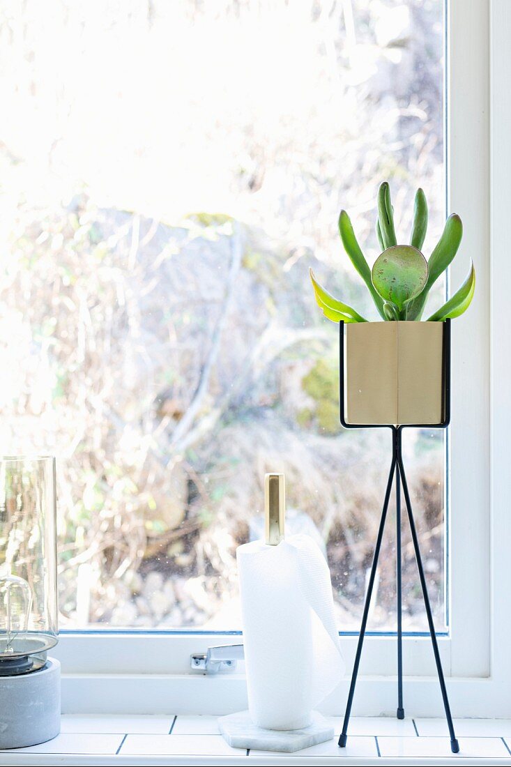 Designer plant stand next to kitchen roll holder on windowsill