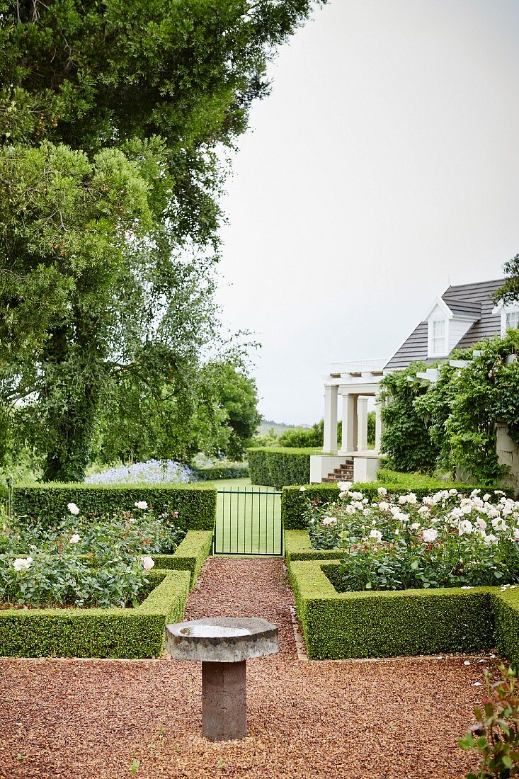 Steinbecken auf gekiestem Weg in angelegtem Garten mit Hecken und Rosen