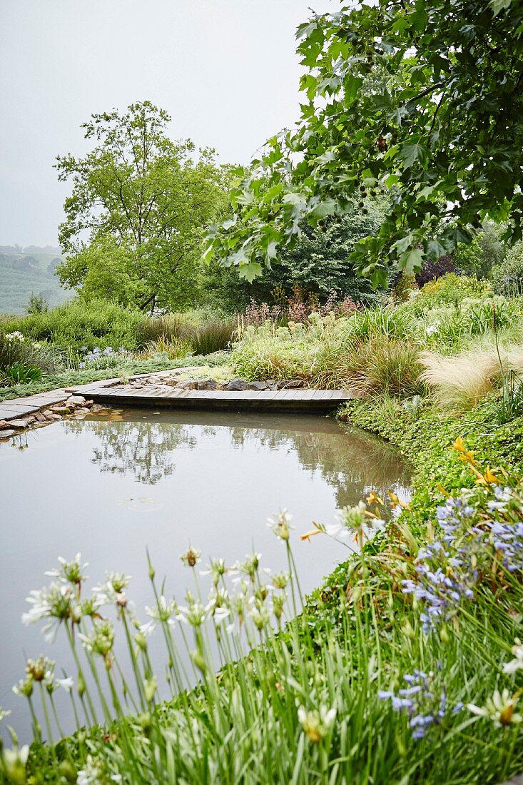Idyllic pond with wooden jetty in landscaped gardens