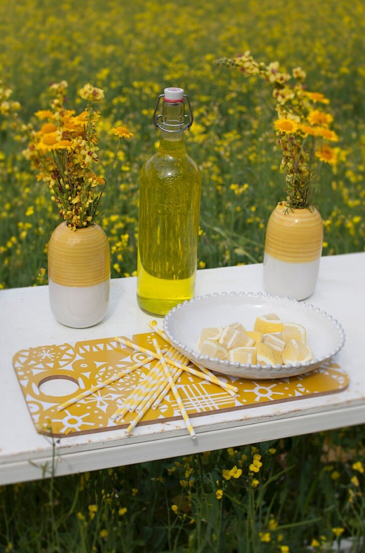 Zitronenschnitze in weißem Teller und Flasche mit Bügelverschluss zwischen Färberkamillensträusse auf weisser Vintage Ablage in blühendem Rapsfeld