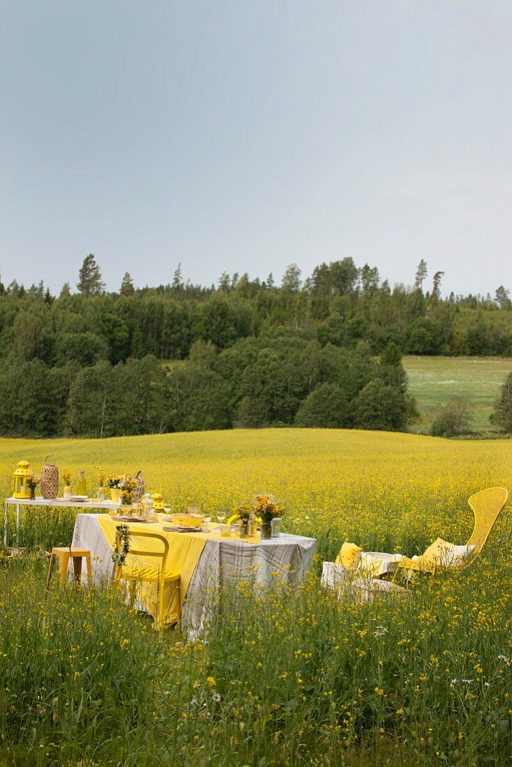 Festively set table in field of flowering rapeseed with view of green landscape