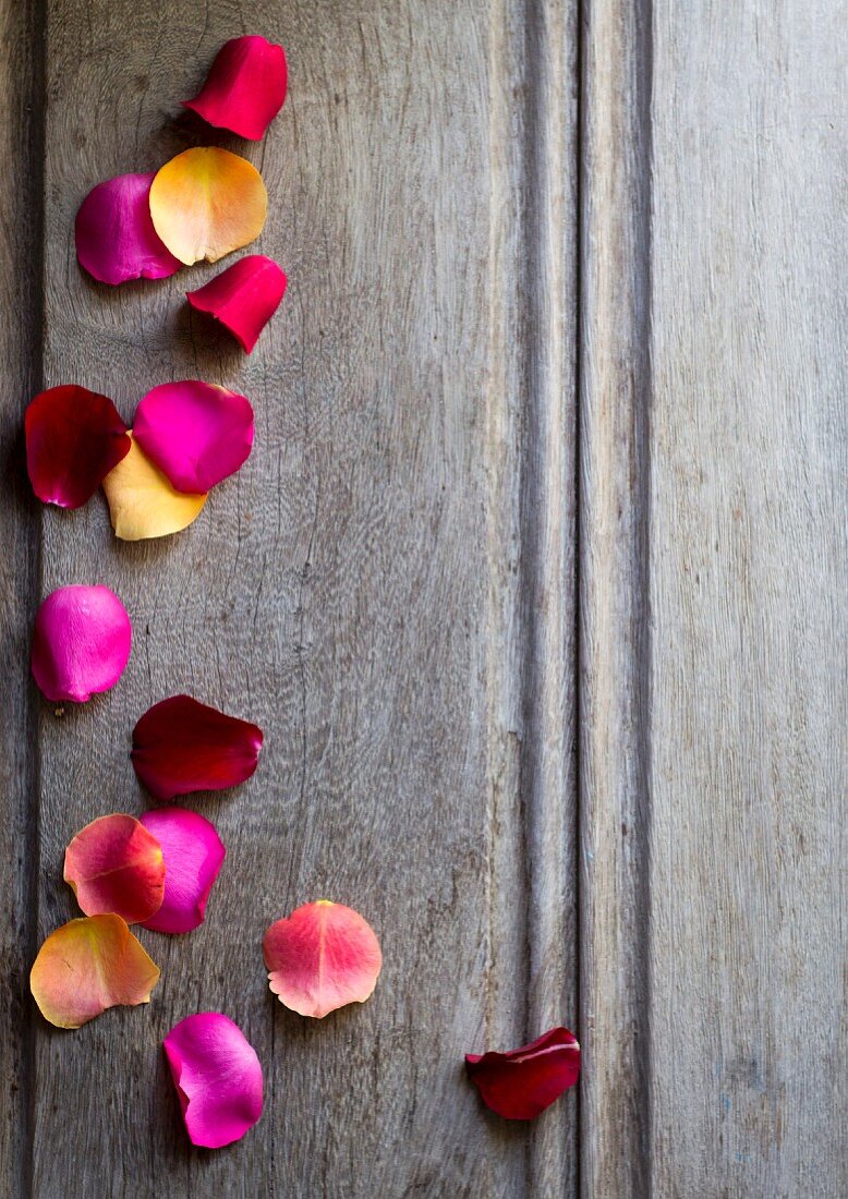Rose petals on grey wooden surface
