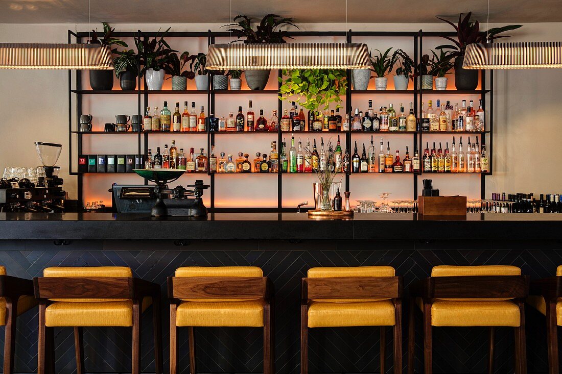 Bar with upholstered barstools at dark counter and illuminated shelves of spirits and house plants on wall