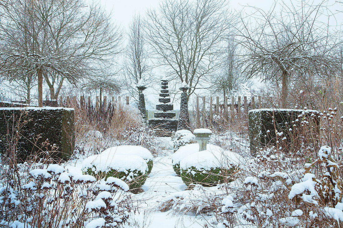 Snowy garden with trees and hedges in winter