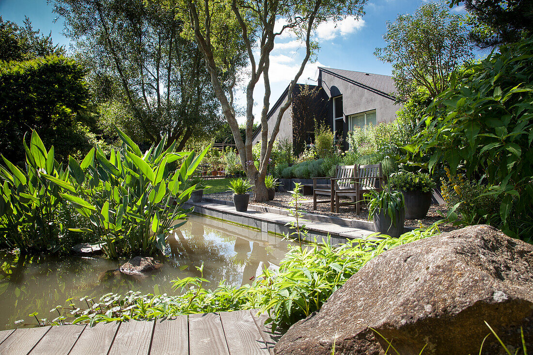 Pond and exotic plants in summery garden