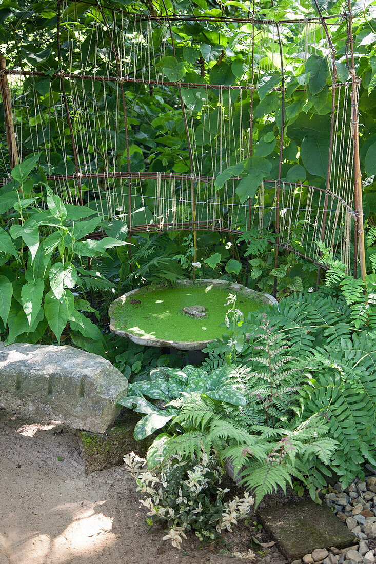 Becken mit Wasserlinsen im Beet mit Farn und einem Holzkunstwerk
